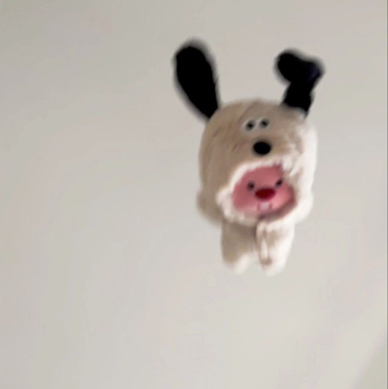 𓇼 ⋆｡˚ 𓆝