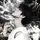your.jeung.artemis