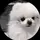 きせん