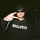 ftn_stady2