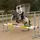 zuzu_sport_ponies