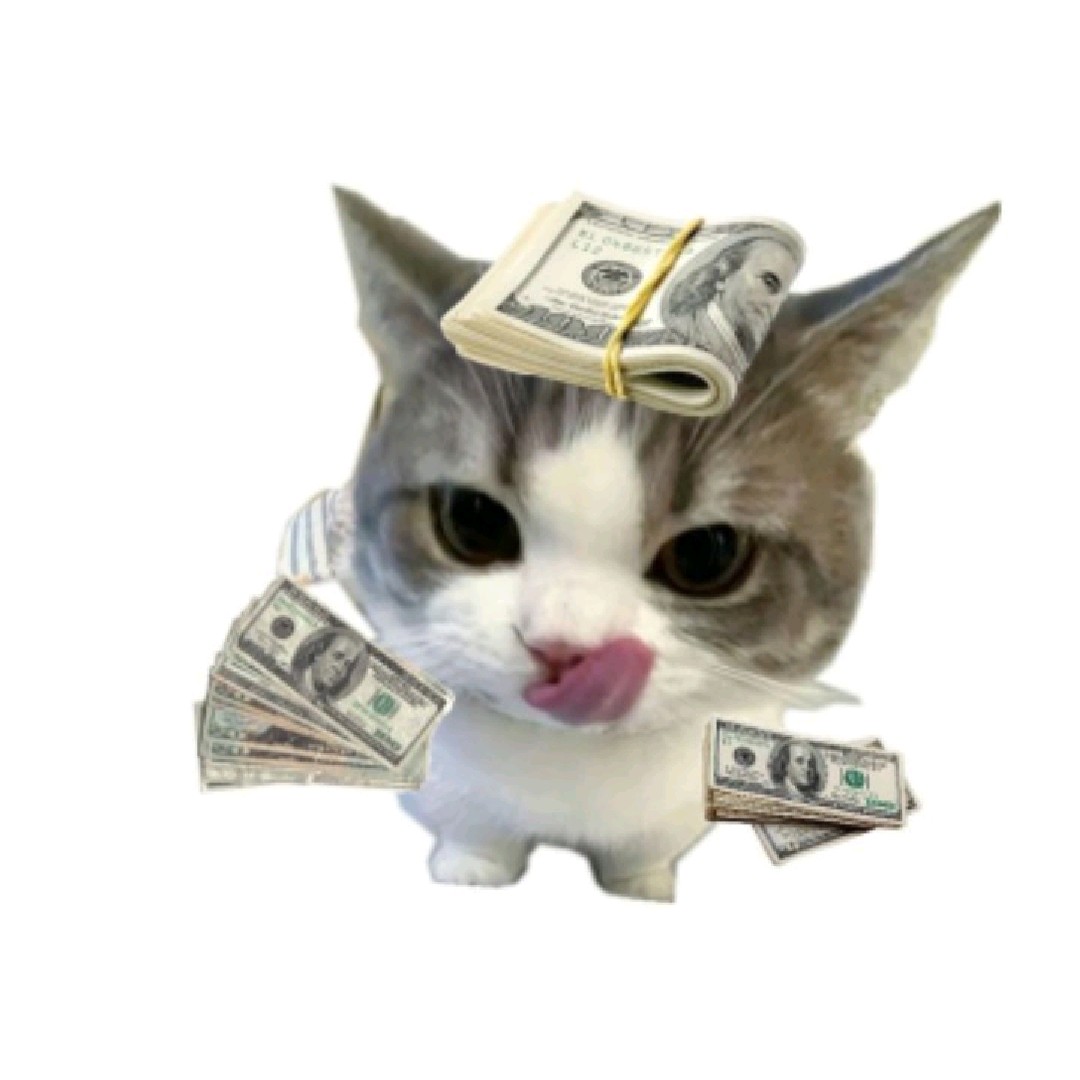 DOLLARI 