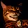 Josh_hly