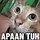 abcdrix_jnx