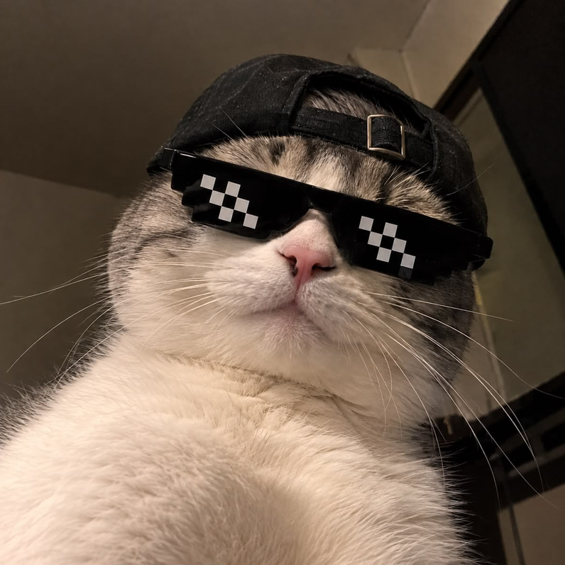 V A N