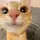 Catyrant_editz