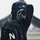 Phantom X