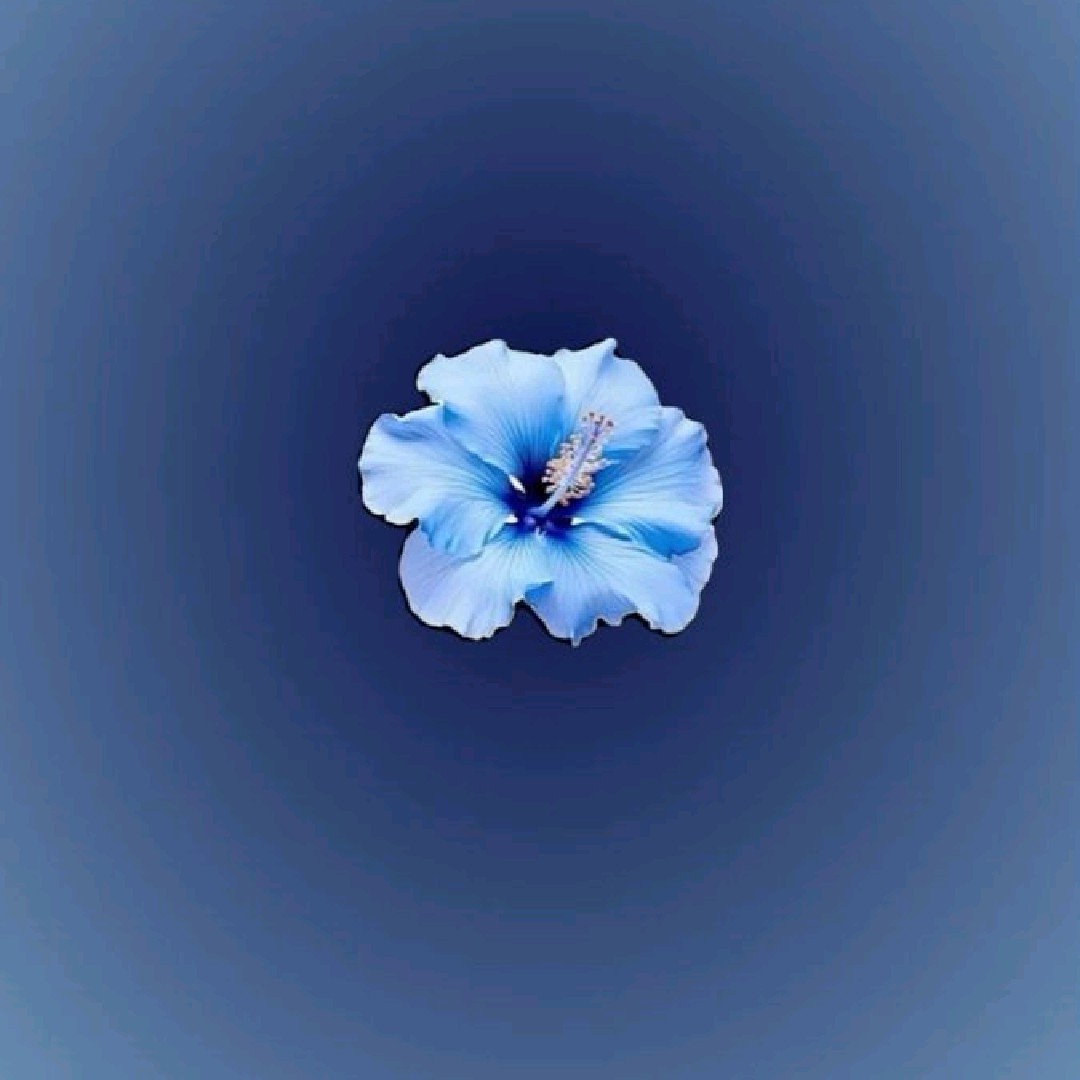 _♡_
