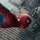 Spidey inspiration 