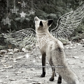 ⚝𝕒𝕝𝕖𝕩🪽