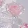 ROSE☆
