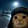 𝙲𝙰𝚃_𝚂𝙿𝚈😼