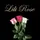 Lili_Rose🌹🥀