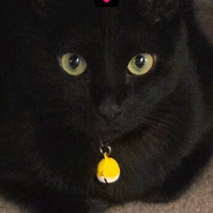 esterkavv ۶ৎ