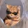 Mae