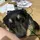 ﹒◞　　axl⠀/　koda⠀