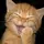 𝐍𝐄𝐳𝐮