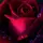 𝐁𝐄𝐍𝐈☠️🥀