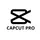 CapCut Pro