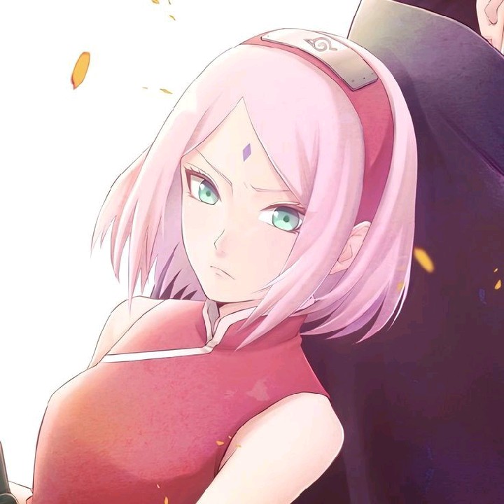 SAKUR4. [A11]