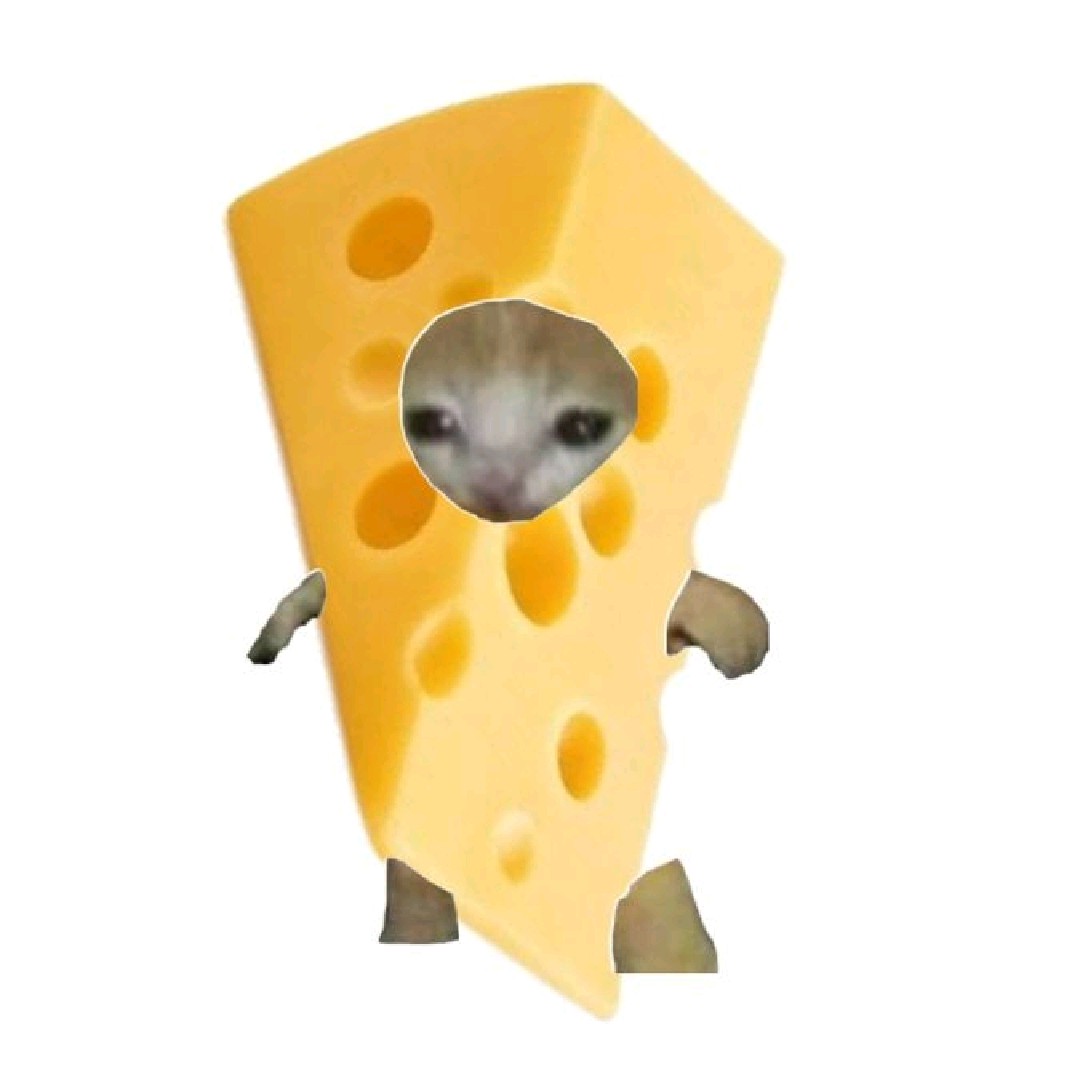 keju🧀