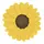 Fid🌻 [LDR]
