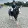Bob_Delilah_EQ