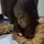 its me princess