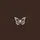 🦋Butterfly🦋