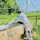 Sameer Kumar452