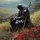 The Hopeful Realist