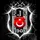 AKDENİZLİ KARTAL