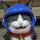 おしゃ猫