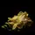 user7996814201261