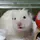 かいと