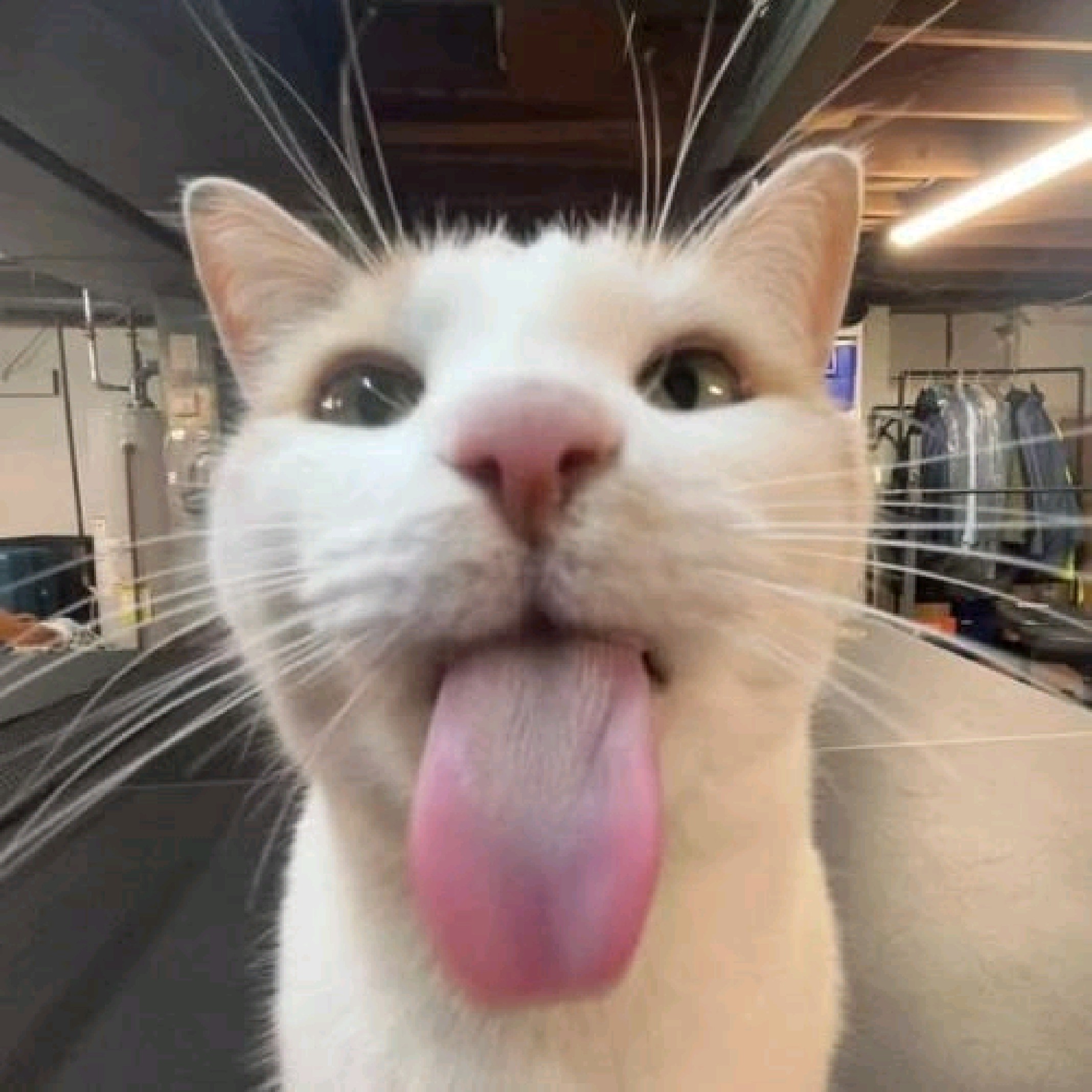M I N G