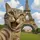 ™ Meong