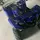 NQquads/RYAN STICKLE
