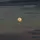 lunnia
