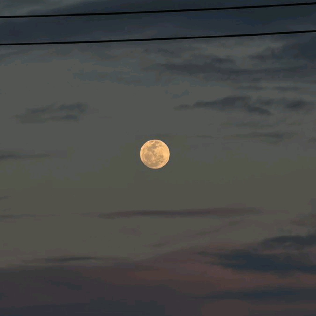 lunnia