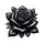 Black Roses