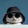 Key_Cat