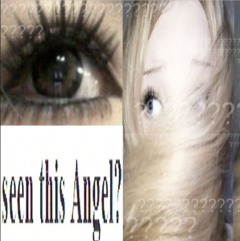 ˚₊·—̳͟͞͞angels⸝꙳.‎˖🦢