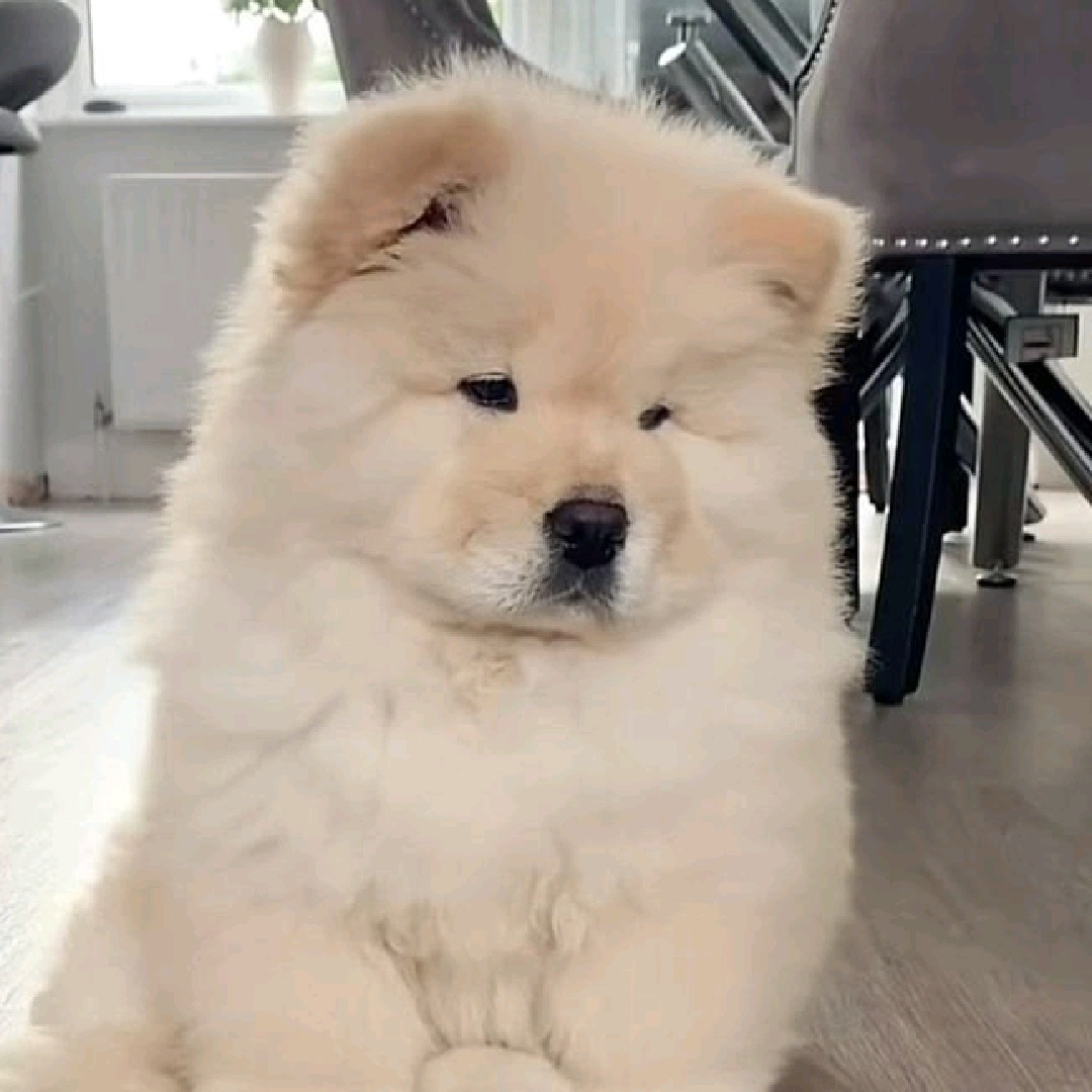 boujee