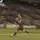 footballedits