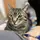O_Miau