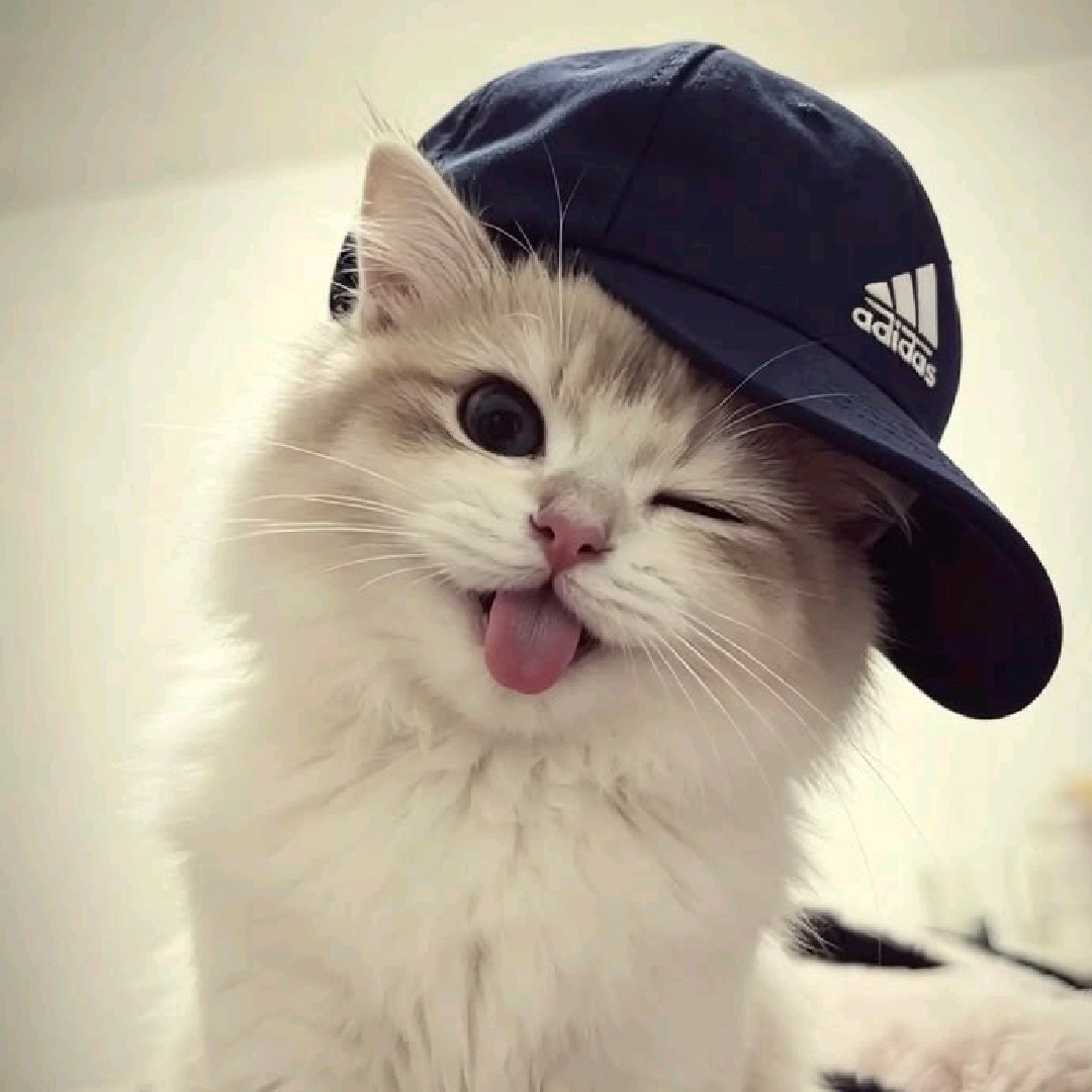 OLivee
