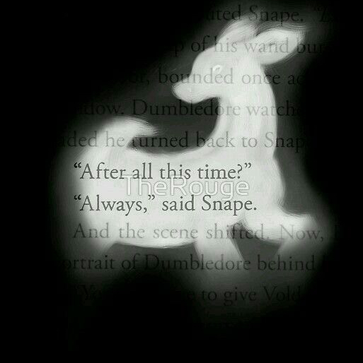 hanslias edits
