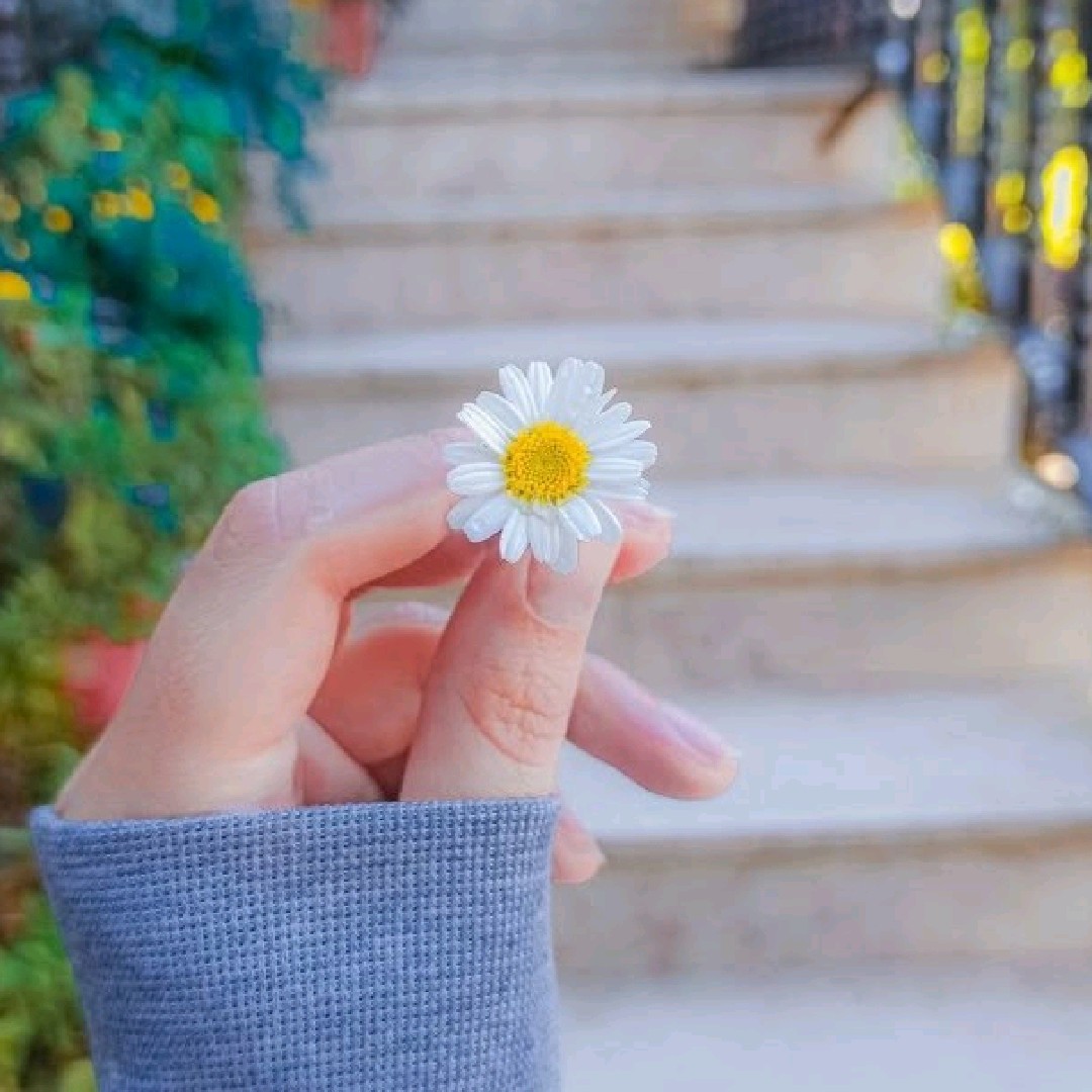 ✿Vân.!