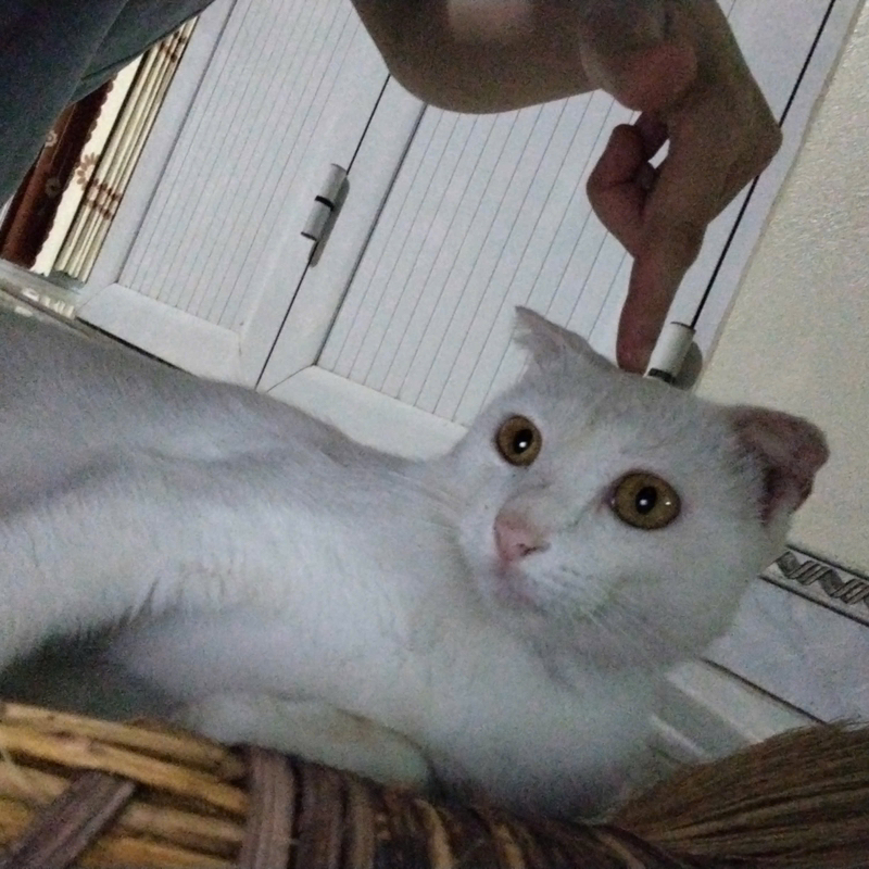 KhahHug✦
